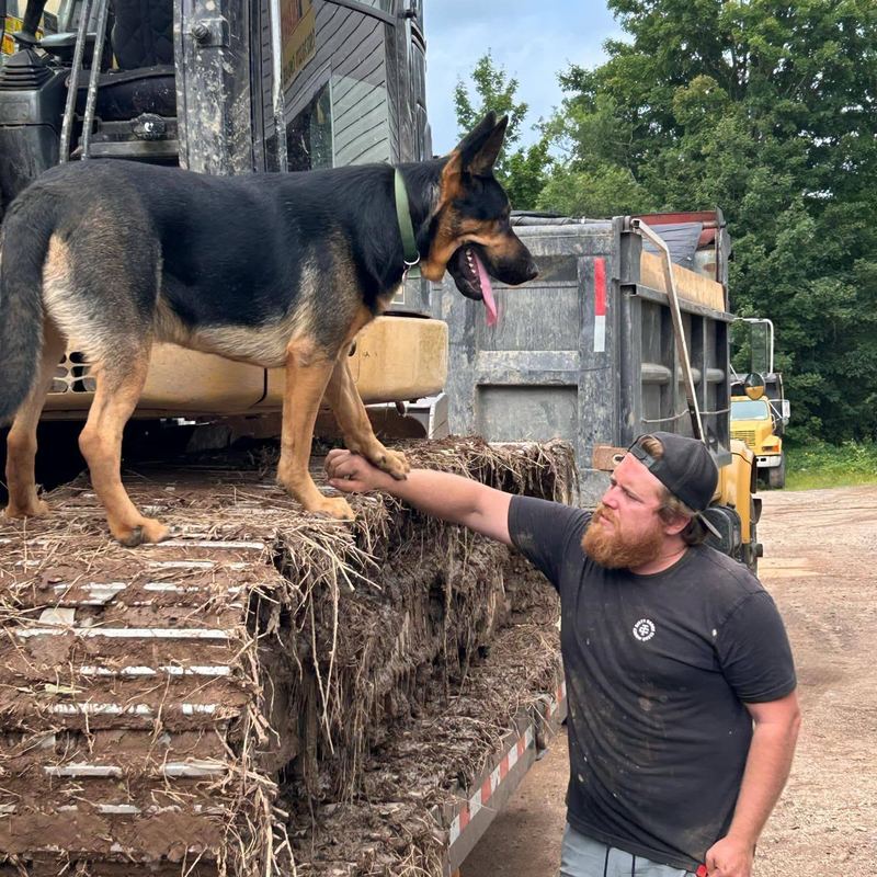 Brandon Aldred with his German Shepherd on the excavator trailer between jobs